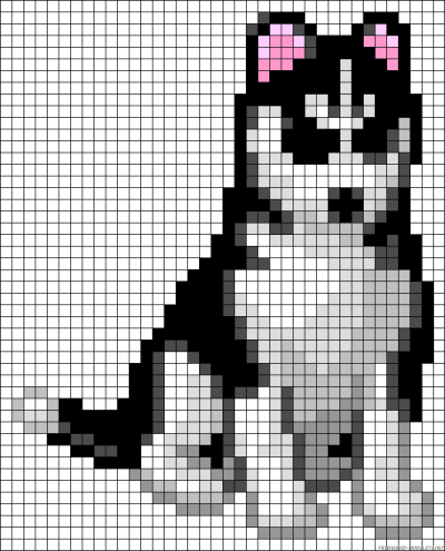 Husky Dog perler bead pattern