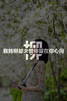 第二发【最全姓氏大图，这次真的很全】找…