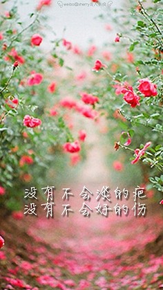 没有不会淡的疤，没有不会好的伤