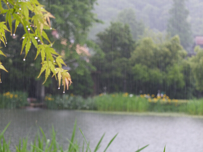 西湖雨景