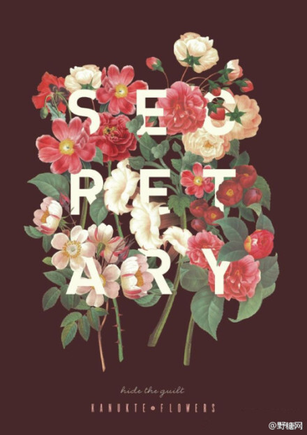 ✿ Flower Poster Design ✿ 【from恋蝶︶ㄣ设计】http://t.cn/R7A4YxP