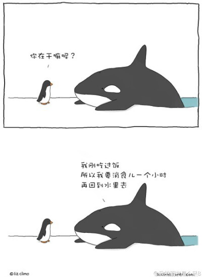 liz climo