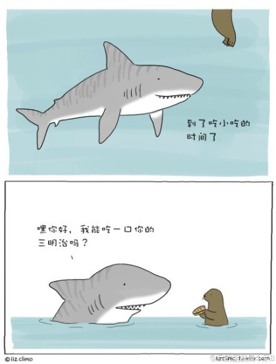 liz climo