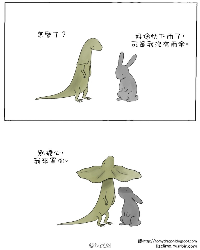 liz climo