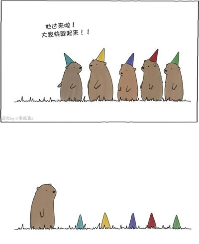 liz climo