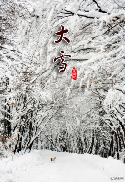 今日大雪第二十一节气。古人云：“大者，盛也，至此而雪盛也”，雪往往下得大范围也广，故名。大雪时节起居宜早眠早起，围巾别离身，多喝水，南方要保持肺气清肃。此时也是进补的大好时节，以温补、养阴为主，可多吃…