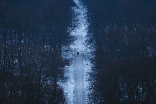 winterfellis: 1. by Crusade. on Flickr.