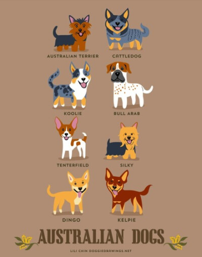 【186 dogs of the world】By illustrator Lili Chin 丨来源：http://t.cn/RhBcMS8