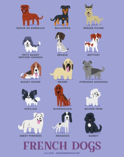 【186 dogs of the world】By illustrator Lili Chin 丨来源：http://t.cn/RhBcMS8