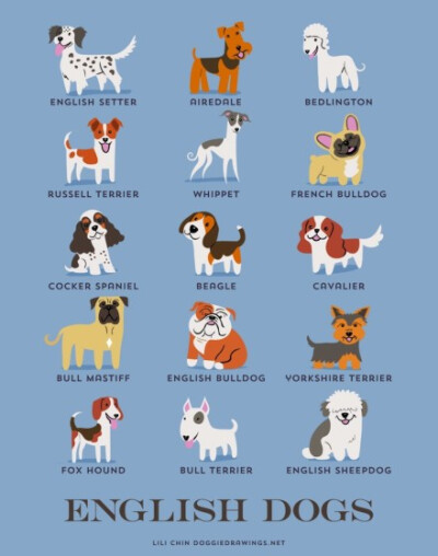 【186 dogs of the world】By illustrator Lili Chin 丨来源：http://t.cn/RhBcMS8