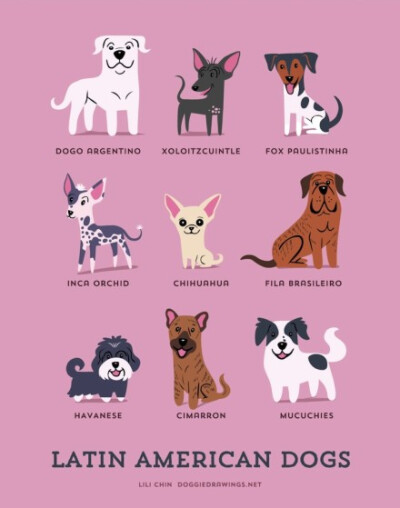 【186 dogs of the world】By illustrator Lili Chin 丨来源：http://t.cn/RhBcMS8