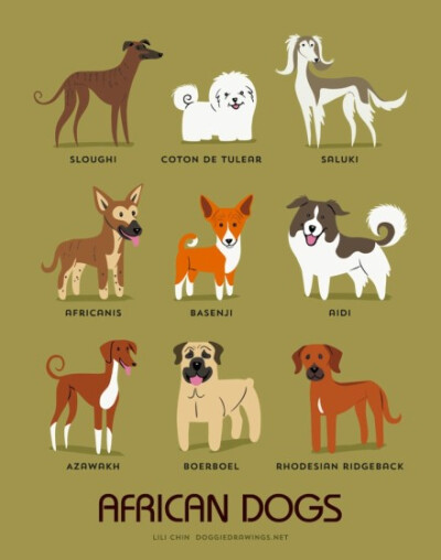 【186 dogs of the world】By illustrator Lili Chin 丨来源：http://t.cn/RhBcMS8