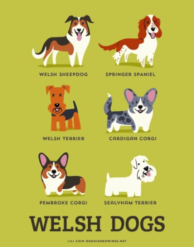 【186 dogs of the world】By illustrator Lili Chin 丨来源：http://t.cn/RhBcMS8