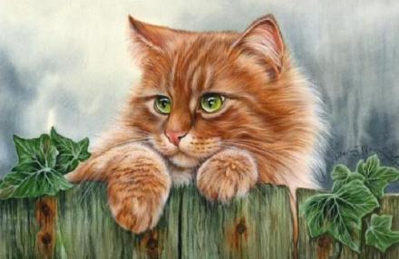 手绘萌猫，将呆萌进行到底。丨来自画家Irina Garmashova。