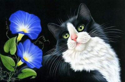 手绘萌猫，将呆萌进行到底。丨来自画家Irina Garmashova。