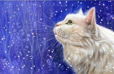 手绘萌猫，将呆萌进行到底。丨来自画家Irina Garmashova。