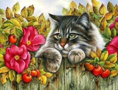 手绘萌猫，将呆萌进行到底。丨来自画家Irina Garmashova。