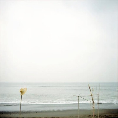 别人都在以你不知道的方式隐蔽的成长着，只有你还在那里相信别人所有的抱怨都是真的，都和你一样在不思进取。