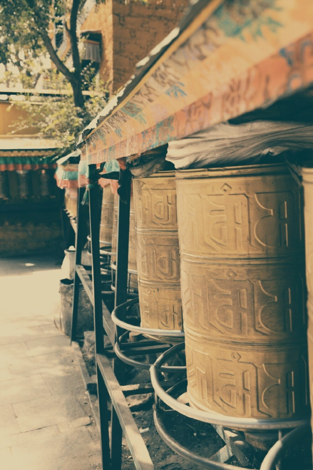 坐在大昭寺门前，寺前香火缭绕，万盏酥油灯长明，前来朝圣的信徒们，虔诚地叩拜在门前的青石板上，留下等身长头的印痕