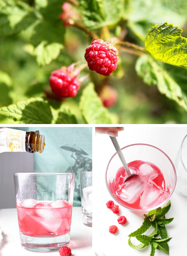 anilla Raspberry Cocktail 2 oz raspberry-infused vodka 1 oz vanilla simple syrup dash of orange bitters  Place ice in a glass. Add vodka and simple syrup, and a dash of orange bitters. Stir well. Garnish with a mint sprig. Enjoy!