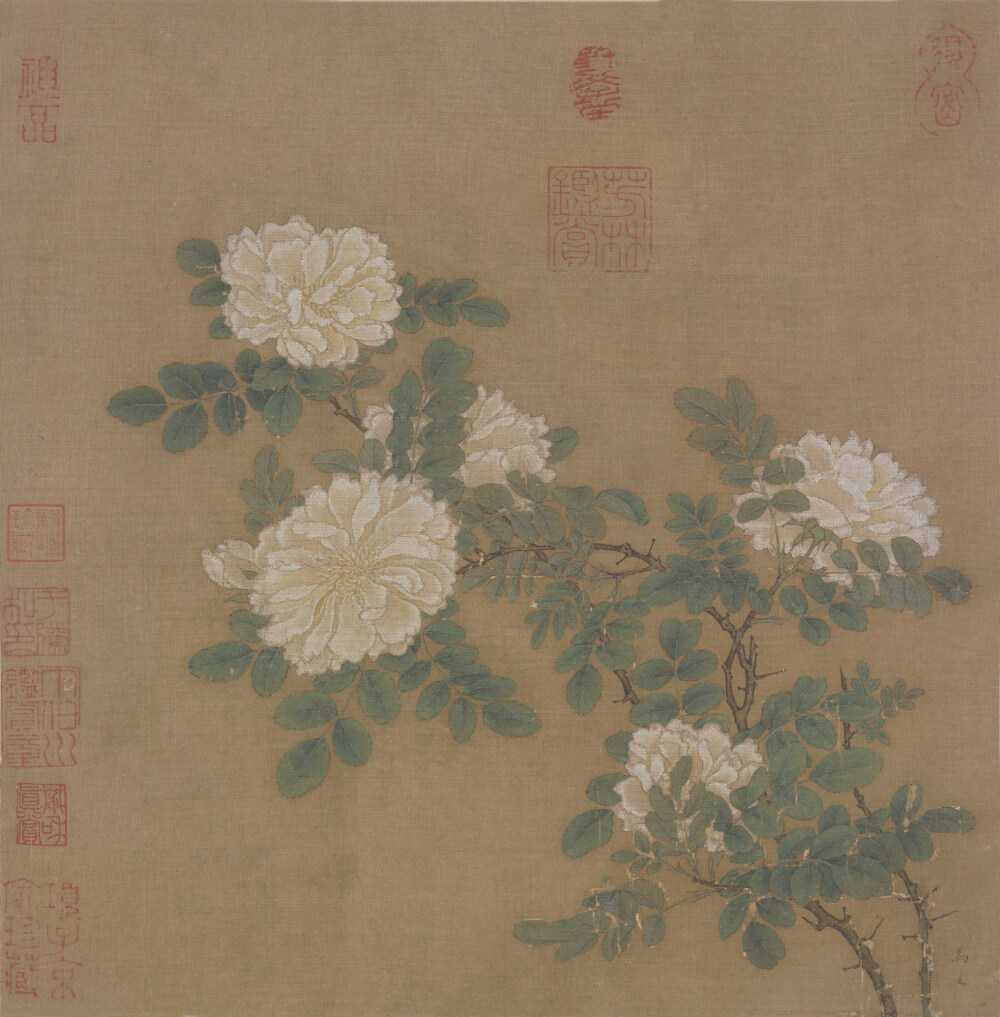 南宋 馬遠(yuǎn) 白薔薇圖頁 絹本設(shè)色 26.2×25.8cm 故宮博物院藏