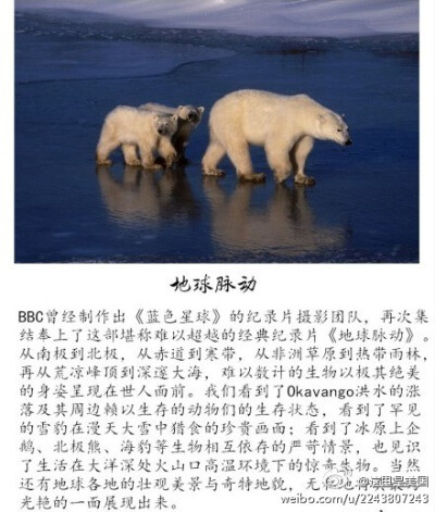 【BBC：地球脉动】两极http://t.cn/8FiNQPp 高山http://t.cn/zYcJisy 淡水http://t.cn/zjiDVaA 洞穴http://t.cn/zjiDVaw 沙漠http://t.cn/zjiDVaZ 冰雪http://t.cn/zjiDVa2 平原http://t.cn/zjiDSxd 丛林http://t.cn…