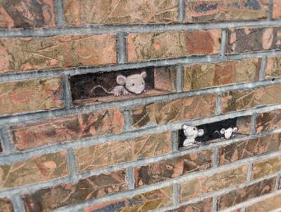 David Zinn 的新奇粉笔和木炭画。9月24日在 Ann Arborby 街创作克里斯托弗·乔布森的街头人物 。自2001年以来，艺术家和插画家大卫·津恩一直青睐密歇根州安阿伯市的大街小巷，创建用粉笔和木炭临时插图。利用找到的对…