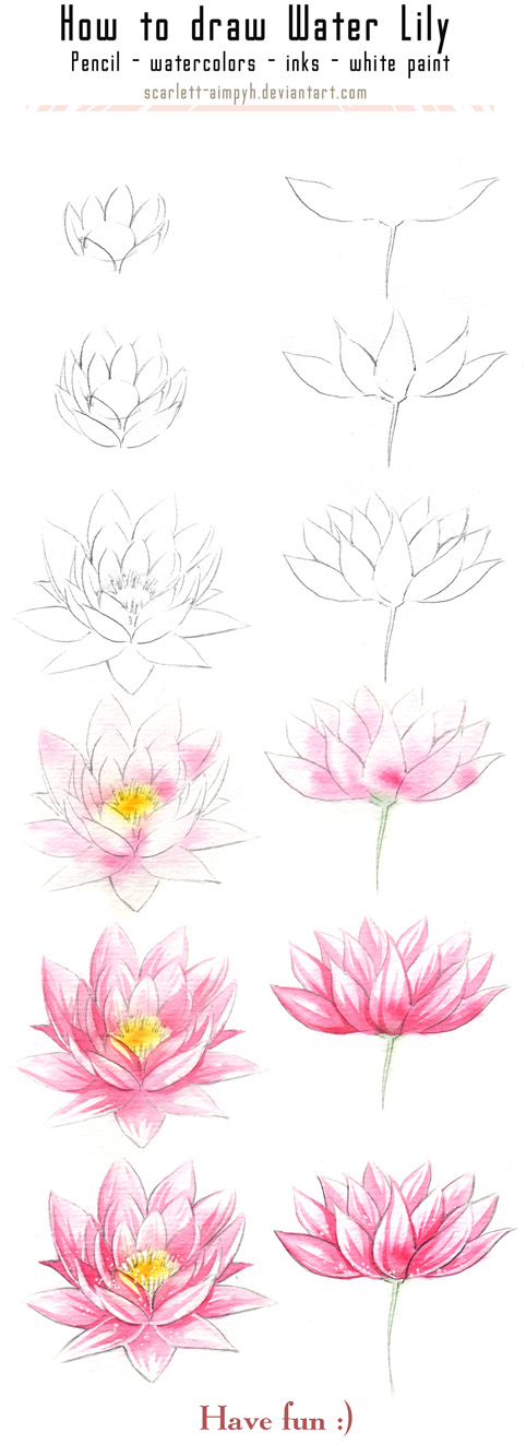 131 - How to draw and paint Waterlily by Scarlett-Aimpyh