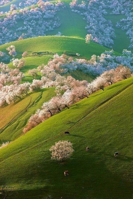 风景摄影