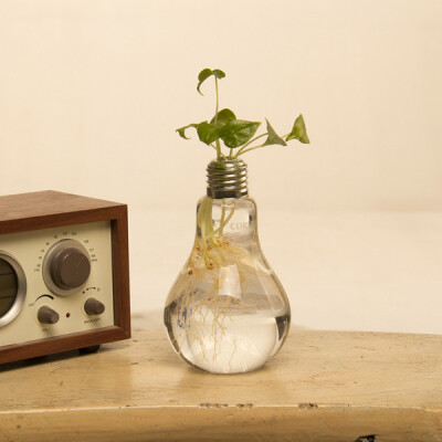 特价 创意水晶花瓶玻璃透明 现代时尚灯泡水培花瓶 花器 桌面鱼缸
