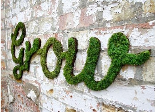 #极致家居#教你动手制作苔藓涂鸦：涂鸦在国外某些国家是很流行的艺术创作，但涂鸦需要使用喷漆，这些化学物质始终都是对环境不好的。如果你是一个崇尚自然的艺术家，那么这个苔藓涂鸦你一定很喜欢，使用简单的材料就能创作出艺术与环保相结合的自然景观涂鸦。下面教大家如何动手制作。