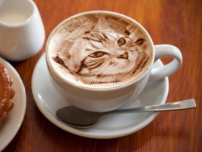 Cat latte art