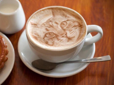 Cat latte art