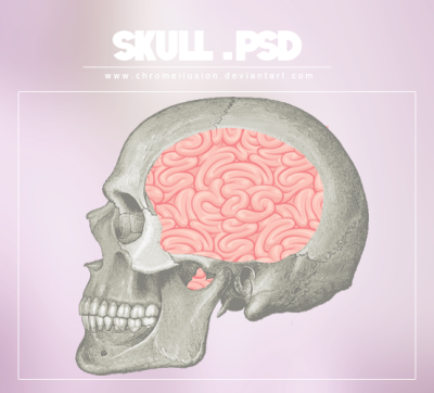 Skull .psd by ChromeIlusion