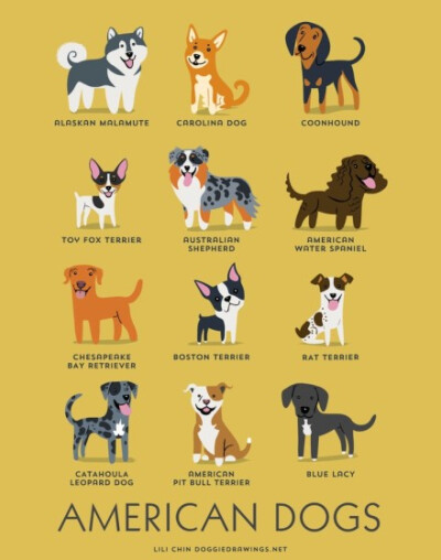 【186 dogs of the world】By illustrator Lili Chin 丨来源：http://t.cn/RhBcMS8