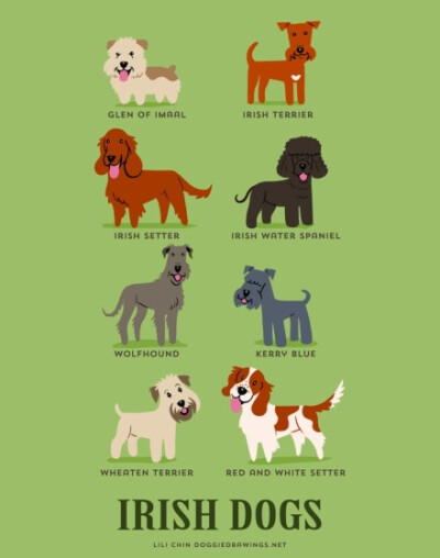 【186 dogs of the world】By illustrator Lili Chin 丨来源：http://t.cn/RhBcMS8