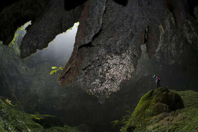 Namibia Africa’s latest conservation success story is a boon for travelers. 选自：52 Places to Go in 2014 - NYTimes.com