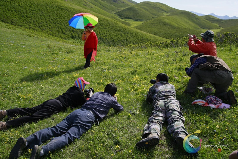 认真的拍摄者