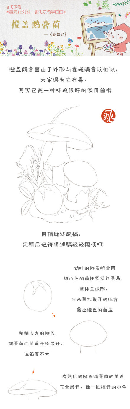 #每天10分钟，跟飞乐鸟学画画# 橙盖鹅膏菌，名字有点酷炫呀，颜色鲜艳饱满，是一种味道很好的食用菌哦。附上色号转换表：|飞乐鸟