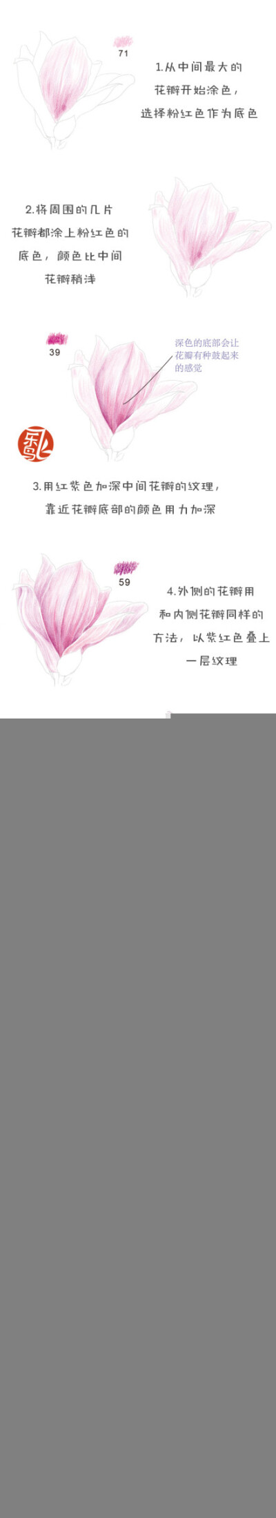 #每天10分钟，跟飞乐鸟学画画#本周送上“花开好时节”，迎春玉兰花开俏丽，开放时洋溢着淡淡幽香，大家跟随本周内容一起描绘这些美丽的花朵吧。