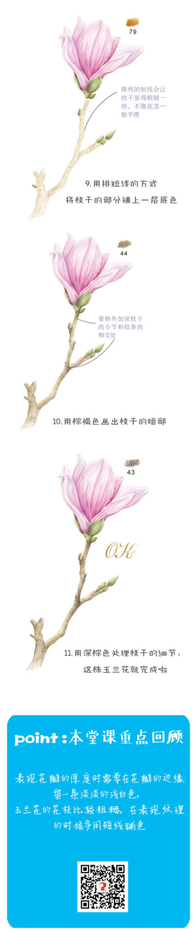 #每天10分钟，跟飞乐鸟学画画#本周送上“花开好时节”，迎春玉兰花开俏丽，开放时洋溢着淡淡幽香，大家跟随本周内容一起描绘这些美丽的花朵吧。