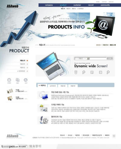 韩国网页模板-蓝色商业网站产品介绍页面设计