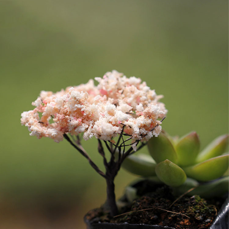 DIY配件仿真樱花树迷你微景观必备小清新盆栽盆景袖珍花卉植物-
