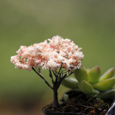 DIY配件仿真樱花树迷你微景观必备小清新盆栽盆景袖珍花卉植物-