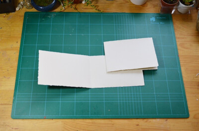 裁纸，37cm X 13cm 纸对折。毛边是尺比着手撕出来的。TKL的相册-手工本装订教程