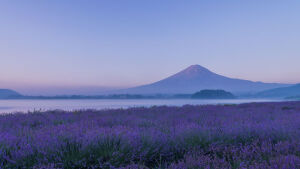 富士山 摄影