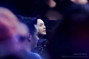 最爱的陈伟霆陈等等