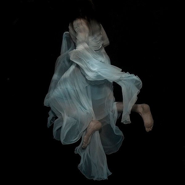 Gabriele Viertel的水下摄影作品