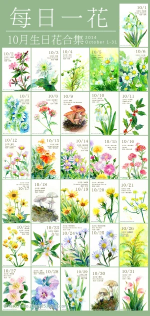 花卉圖6 水彩花卉- 堆糖
