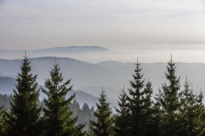 BLACK FOREST, GERMANY The deep, dark Schwarzwald (Black Forest) serves up some of Germany's most beautiful - and storied - scenery. With thick forests, chocolate-box hamlets and rustic traditions, it'…